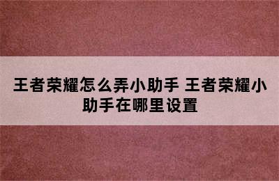 王者荣耀怎么弄小助手 王者荣耀小助手在哪里设置